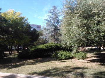 parque-celestino-mutis-090