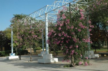 parque-celestino-mutis-1