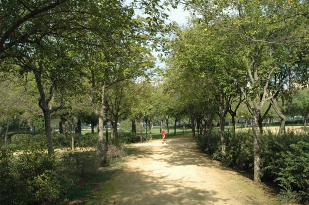 parque-de-amate-031-moreras-2