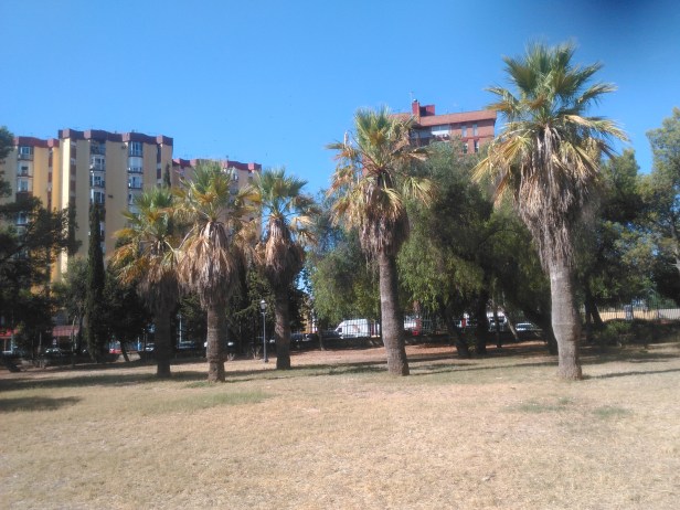 parque-de-amate-24-agosto-2016-185