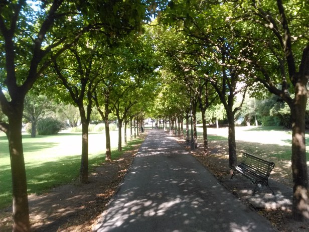 parque-de-loa-principes-pseo-de-naranjos-202
