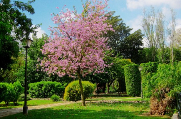 parque-de-los-principes-760x500