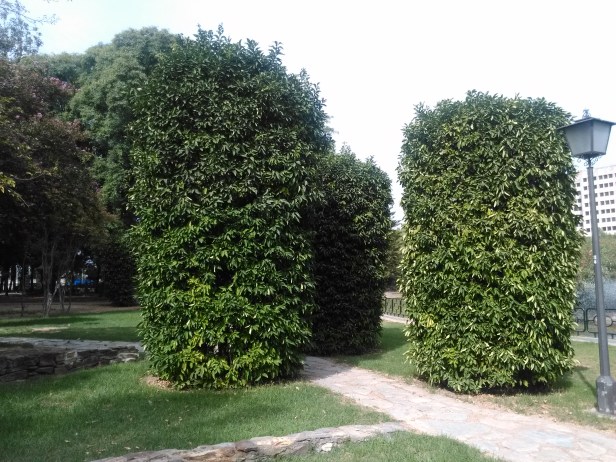 parque-de-los-principes-naranjos-en-cilindro