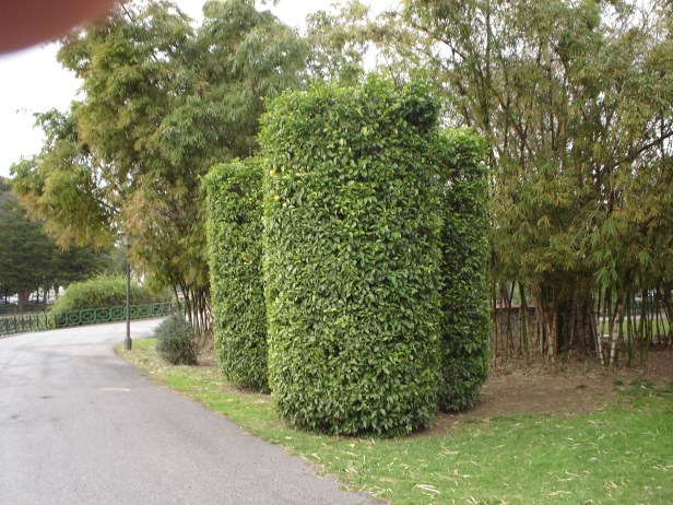 parque-de-los-principes-naranjos-recortadoen-cilindro