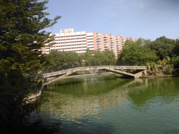 parque-de-los-principes-puente-3-de-sept-2016-043