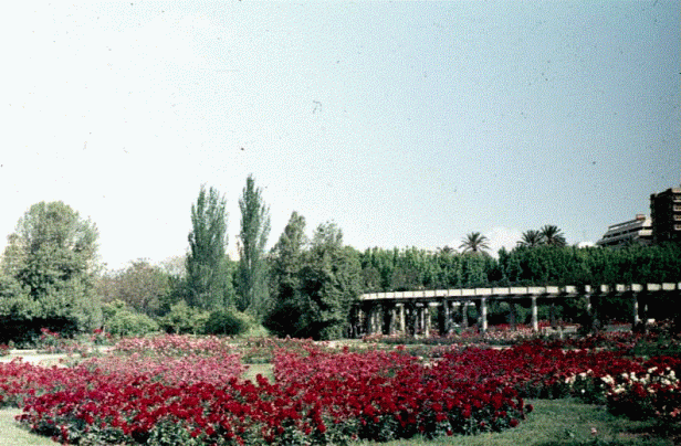 parque-de-los-principes-rosaleda-a