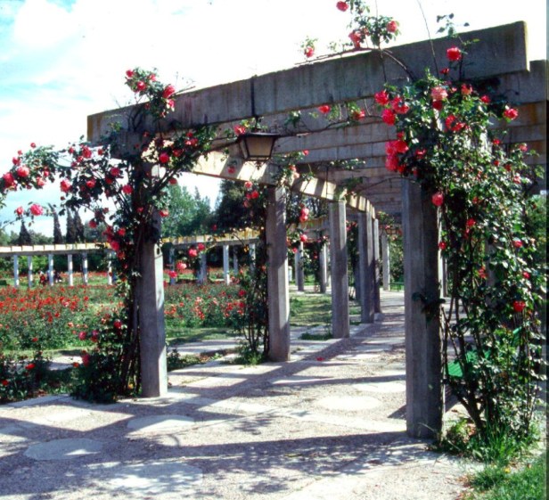 parque-de-los-principes_rosaleda-1