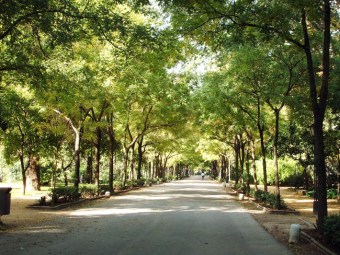 parque-de-maria-luisa-en-sevillaparque-maria-luisa-sevilla-12