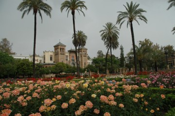 parque-de-maria-luisa-21-abril-2014-071