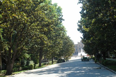 parque-de-maria-luisa-3-14-avda-rodriguez-casso
