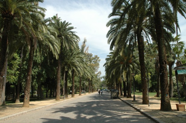 parque-de-maria-luisa-avda-d-pelayo