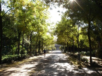 parque-de-maria-luisa-m5