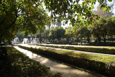 parque-de-maria-luisa-x-setos