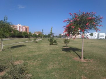 parque-del-guadaira-012