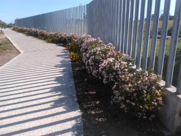 parque-del-guadaira-017