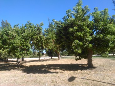 parque-del-tamarguillo-san-ildefonso-sept-2015-049