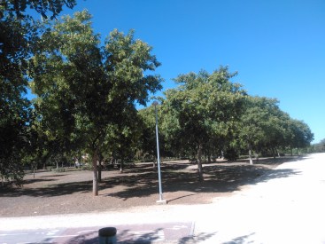 parque-del-tamarguillo-san-ildefonso-sept-2015-053
