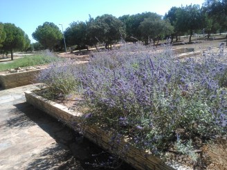 parque-del-tamarguillo-san-ildefonso-sept-2015-055