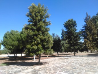 parque-del-tamarguillo-san-ildefonso-sept-2015-056