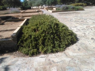 parque-del-tamarguillo-san-ildefonso-sept-2015-057