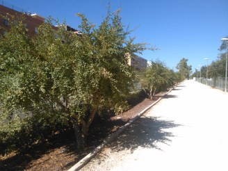 parque-del-tamarguillo-san-ildefonso-sept-2015-066