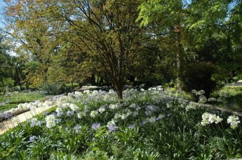 parque-glorieta-de-la-concha-4