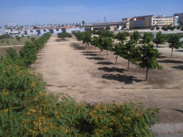 parque-riberas-del-guadaira-050