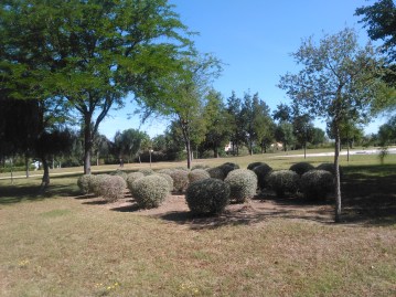parque-riberas-del-guadaira-060