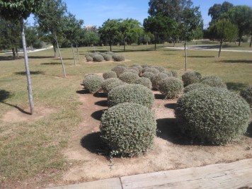 parque-riberas-del-guadaira-071