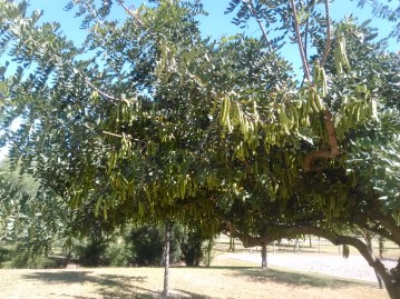 parque-riberas-del-guadaira-084