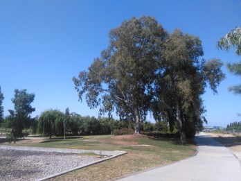 parque-riberas-del-guadaira-100