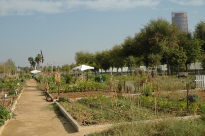 parque-vega-de-triana-huertos-015