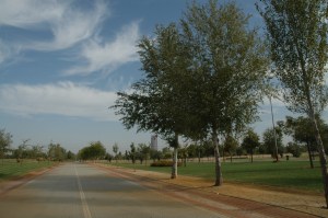 parque-vega-de-triana-populus-alba