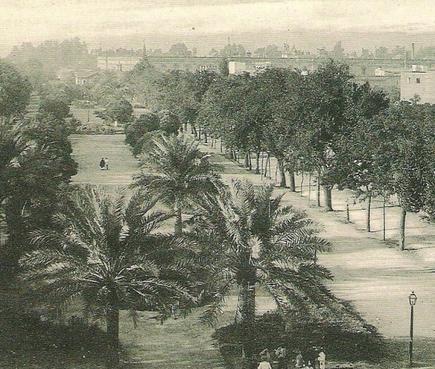 paseo-de-catalina-de-ribera