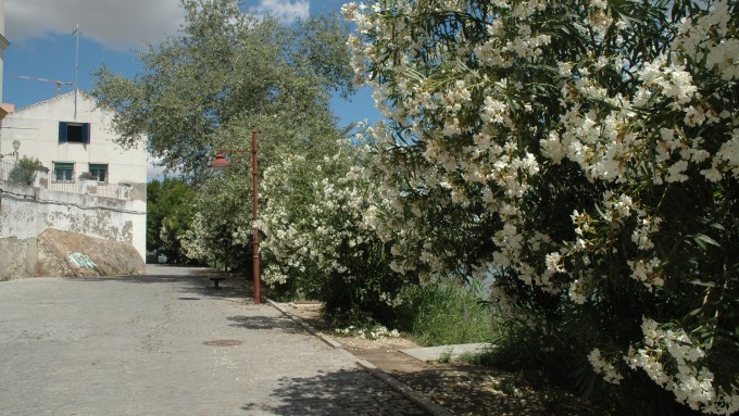 paseo-ntrasra-de-la-o-x