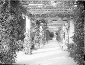 pergolas-de-los-leones