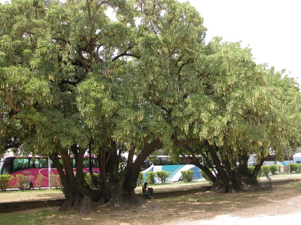 Nombre de archivo : DSCN0043.JPG Tamaño de archivo : 1.7 MB (1740293 Bytes) Fecha de entrega : 2003/05/11 13:36:41 Tamaño de imagen : 2560 x 1920 píxeles Resolución : 300 x 300 ppp Profundidad del color : 8 bits/canal Atributo Protección : Desactivado Atributo Ocultar : Desactivado ID de la cámara : N/A Cámara : E5700 Modo Calidad : N/A Modo Medición : Multipatrón Modo Exposición : Automático Programado Speed Light : Sí Distancia Focal : 8.9 mm Velocidad del disparador : 1/117.7 segundo Abertura : F4.5 Compensación de exposición : 0 EV Balance del blanco fijo : N/A Objetivo : N/A Modo de sincronización del flash : N/A Diferencia de exposición : N/A Programa Flexible : N/A Sensibilidad : N/A Nitidez : N/A Tipo de imagen : Color Modo de color : N/A Ajuste de tono : N/A Control de saturación : N/A Compensación de tono : N/A Latitud (GPS) : N/A Longitud (GPS) : N/A Altitud (GPS) : N/A