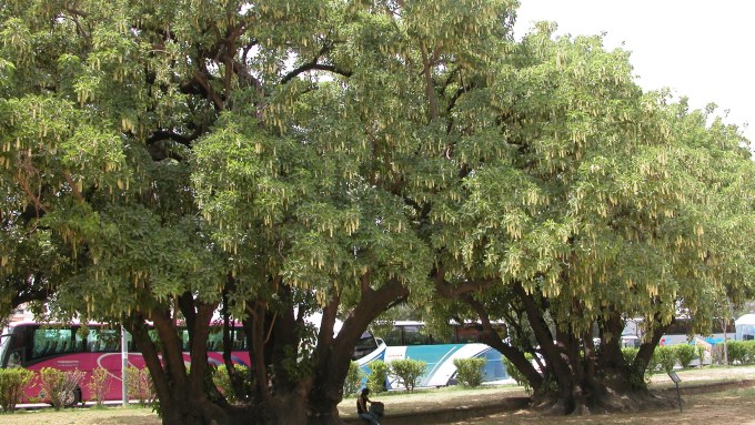 Nombre de archivo : DSCN0043.JPG Tamaño de archivo : 1.7 MB (1740293 Bytes) Fecha de entrega : 2003/05/11 13:36:41 Tamaño de imagen : 2560 x 1920 píxeles Resolución : 300 x 300 ppp Profundidad del color : 8 bits/canal Atributo Protección : Desactivado Atributo Ocultar : Desactivado ID de la cámara : N/A Cámara : E5700 Modo Calidad : N/A Modo Medición : Multipatrón Modo Exposición : Automático Programado Speed Light : Sí Distancia Focal : 8.9 mm Velocidad del disparador : 1/117.7 segundo Abertura : F4.5 Compensación de exposición : 0 EV Balance del blanco fijo : N/A Objetivo : N/A Modo de sincronización del flash : N/A Diferencia de exposición : N/A Programa Flexible : N/A Sensibilidad : N/A Nitidez : N/A Tipo de imagen : Color Modo de color : N/A Ajuste de tono : N/A Control de saturación : N/A Compensación de tono : N/A Latitud (GPS) : N/A Longitud (GPS) : N/A Altitud (GPS) : N/A