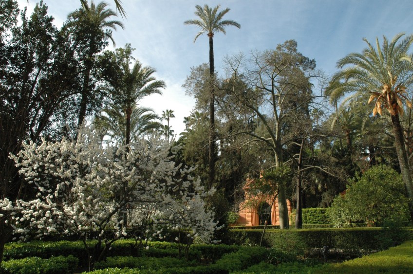 reales-alcazares-marzo-2008-072