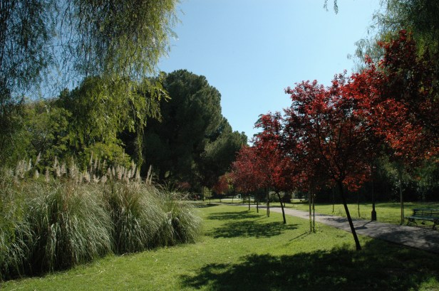 sevila-parque-de-los-principes-mar-2008-010