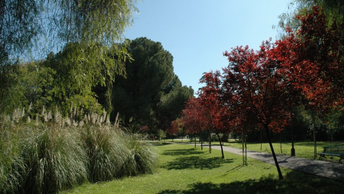 sevila-parque-de-los-principes-mar-2008-010