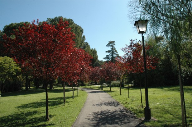 sevila-parque-de-los-principes-mar-2008-011