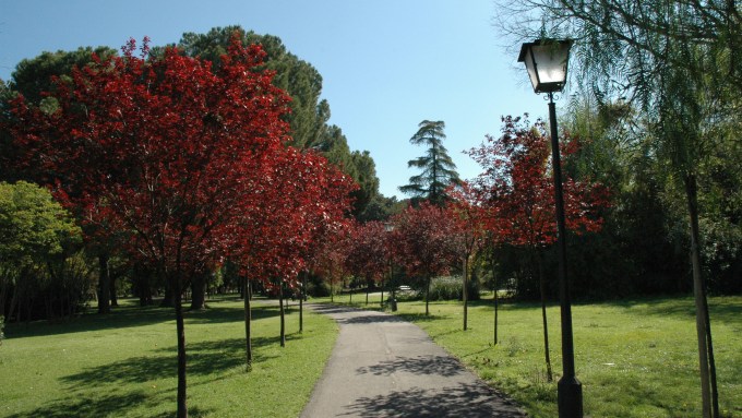 sevila-parque-de-los-principes-mar-2008-011