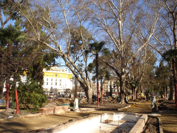 sevilla-febrero-plantacion-a2