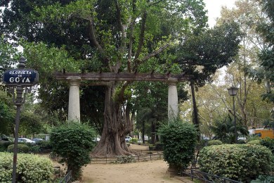 sevilla-glorieta-de-goya-li