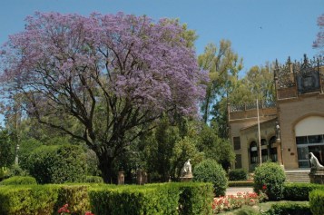 sevilla-jacarandas-pabellon-real-06-060_redimensionar-2