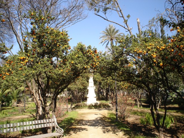 sevilla-jardines-de-las-delicias-p