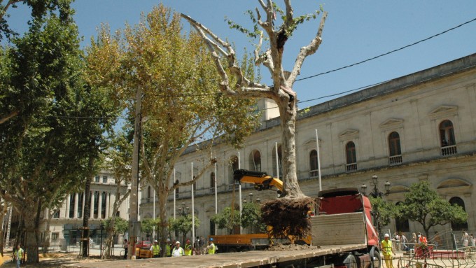 sevilla-julio-2006-plaza-nueva-12