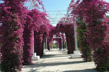 sevilla-parque-celestino-mutis-027_redimensionar