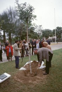 sevilla-parque-celestino-mutis-arbol-conmemorativo